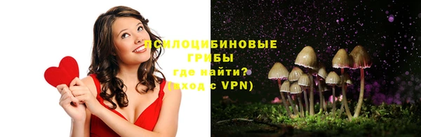 тгк Аркадак
