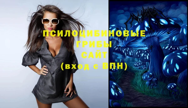 тгк Аркадак
